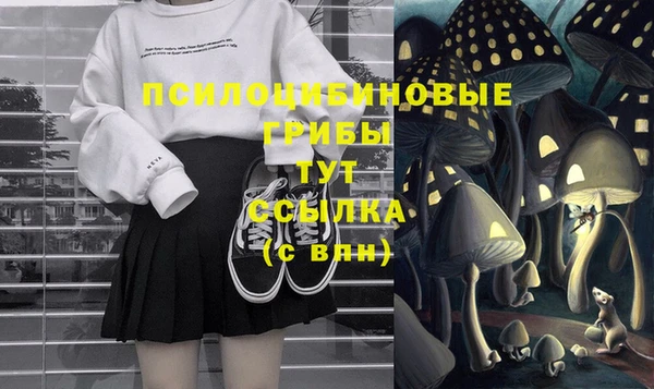 spice Алзамай